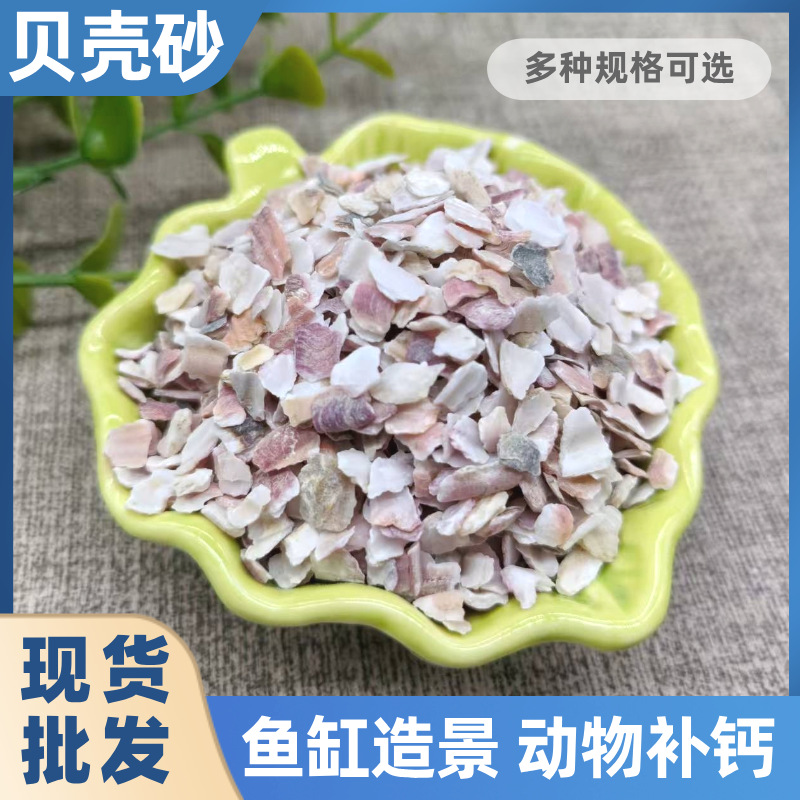 厂家供应贝壳砂鱼缸造景装饰骨料天然贝壳沙家禽饲料添加用贝壳粉