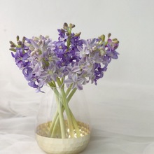 ��ʽ���|�����{ɫ����ɫ�L����  ������ˮ�� �ҾӘӰ巿̨���b�