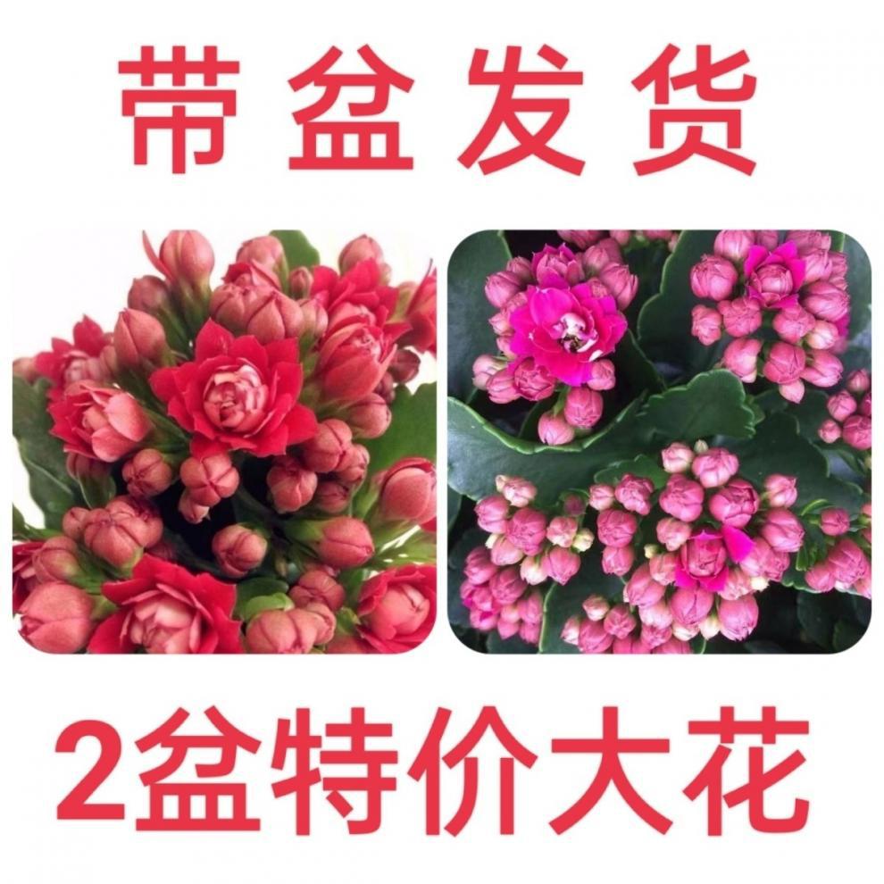 047c06f5-956e-473e-9c8c-763e73712321.jpe