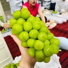 【顺丰】阳光玫瑰葡萄应季孕妇水果晴王提子香印青提无核无籽