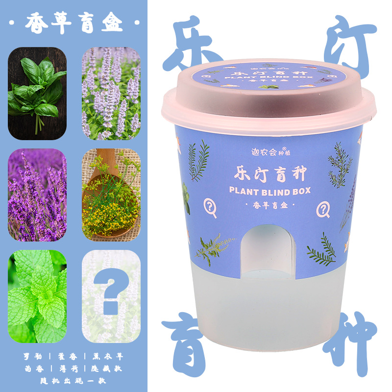 바닐라 블라인드 박스