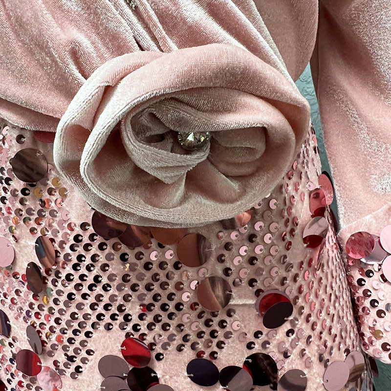 Damenbekleidung Mode schlanke Samt Pailletten Abendkleid Kleid_voghion.com