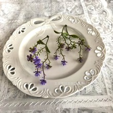 С8^СϾGֲ廨ˮϼٻ2СSl