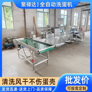 商用鸡蛋洗蛋机养殖场脏蛋清洗杀菌机洗蛋流水线鸡蛋清洗机设备