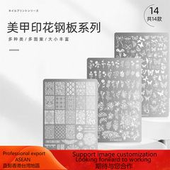 起爆ネイルプリント鋼板蝶レース国風蛇格子縞模様爪シリコン転写テンプレートツール新