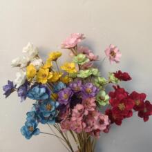 ���y⏻� ��С÷��Сɽ��������ճ�� �ֹ�ˇ�gС���¸ɻ����ӻ���