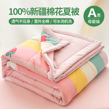 2026�¿�ȫ���½��޻��ı��ě������{�ɴ��l��ֱ�����N