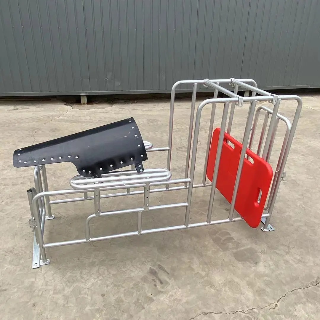 Rack de semilla de cerdas elevación rack de semilla de cerdo pie bajo rack de semilla de suelo galvanizado en caliente soporte de recolección de semilla