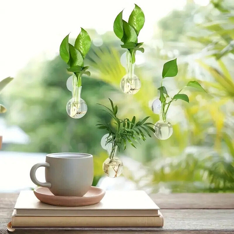 現代壁掛け式水培花瓶透明水養生け花壁に植木鉢緑羅水培器植物装飾|undefined