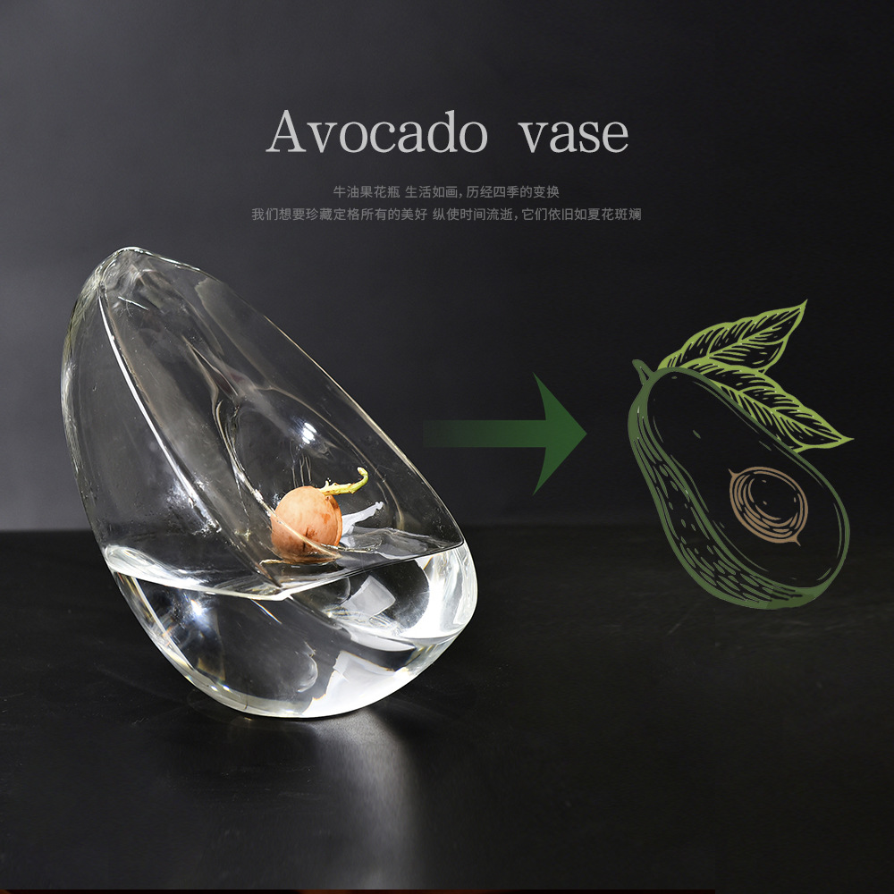 Vaso hidropónico de aguacate modelado para semillas de núcleo de aguacate, recipiente de cultivo y recipiente especial para jardinería