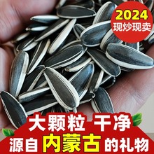 rԭζw؛ӿ㽹ǺҼtζ؛