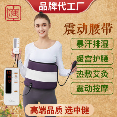 中健遠赤外線振動熱溶着加熱腰マッサージベルトの形のダイエットベルト美容器