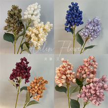 ��ֻ���P�˻��ᭇ�����A�F����M�P���m��c�廨�쾰�����L����