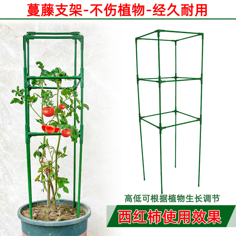 西紅柿番茄架子陽台種植豆角黃瓜爬藤支架支撐杆月季攀爬植物固定