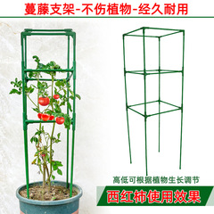 西紅柿番茄架子陽台種植豆角黃瓜爬藤支架支撐杆月季攀爬植物固定