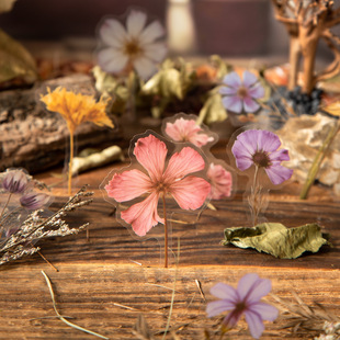Whisper in the Forest Series 50 Beautiful Day Pet Stickers Dried Flower Powder Mist Dream Mirror Cross-Border Long-Term Edition 4 Styles