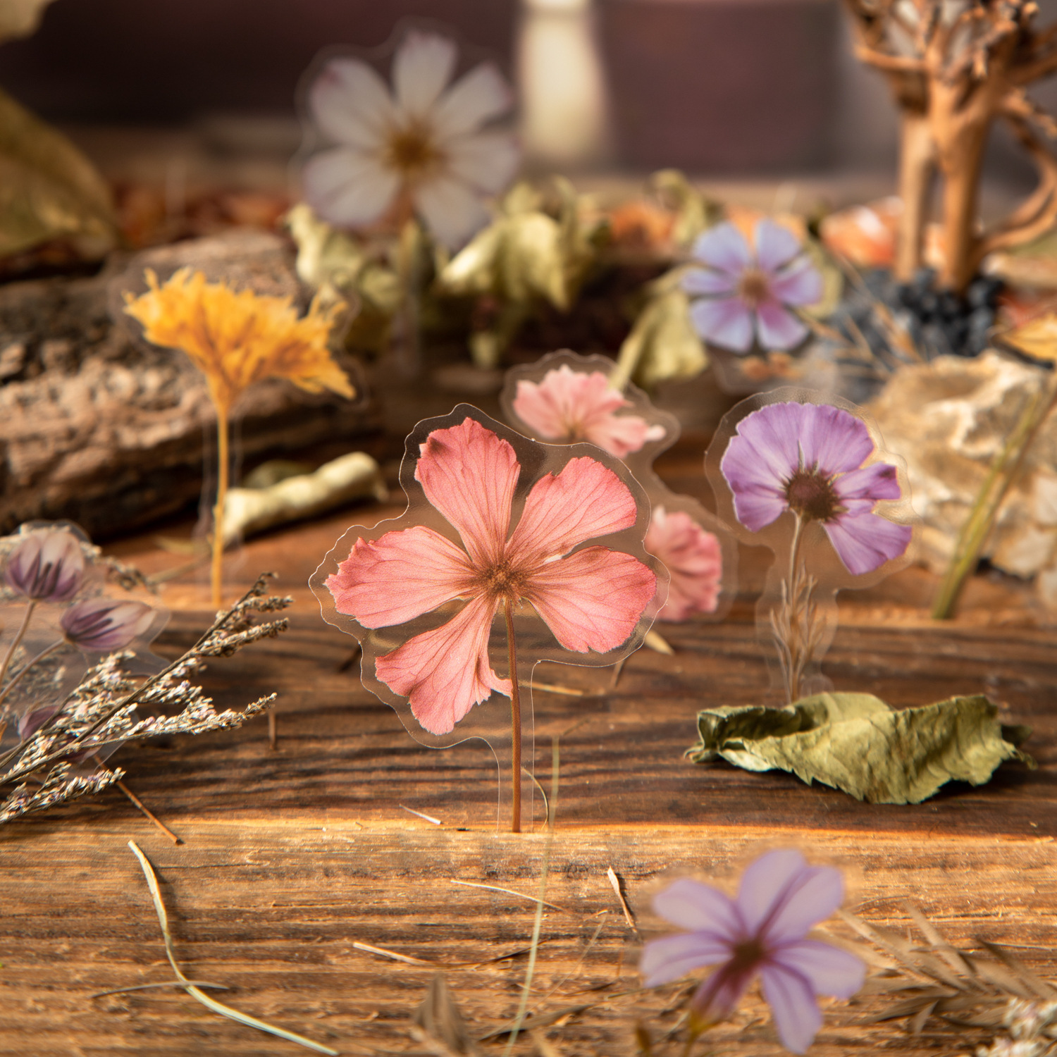 Whisper in the Forest Series 50 Beautiful Day Pet Stickers Dried Flower Powder Mist Dream Mirror Cross-Border Long-Term Edition 4 Styles