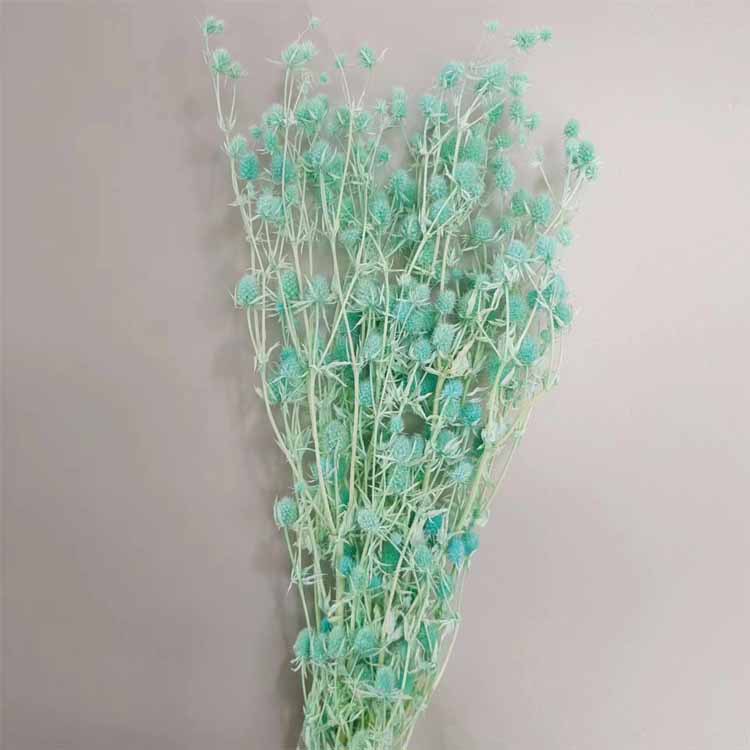 창백한 닐란 [약 100]