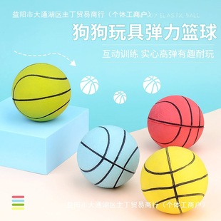 Dog Toy Training Funny Dog ​​Ball Puppy Teddy Golden Retriever Boredom Relief Artifact Bite-Resistant Molar Elastic Ball Pet Supplies