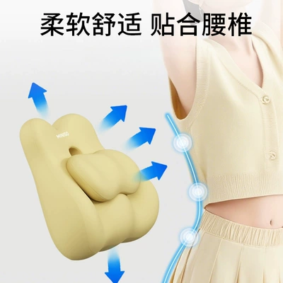 Support Cushion for Long Hours, Waist support