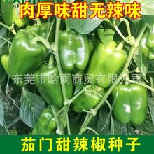 𽷷NӴཷ\˽N̨ﶬ߲˷N