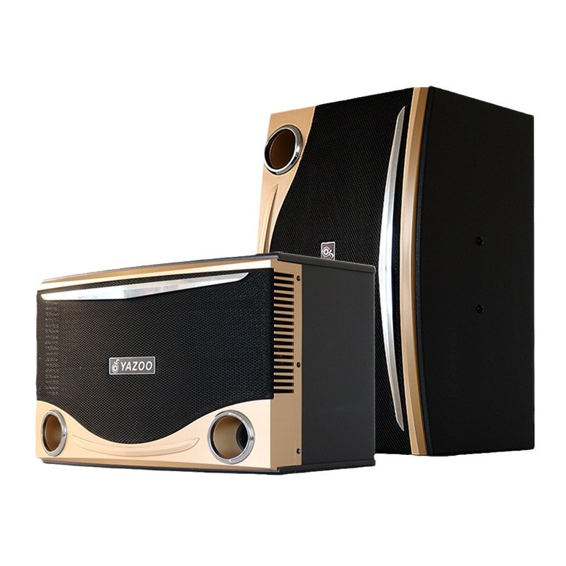 Directo de fábrica de 10 pulgadas pasiva de frecuencia completa profesional titular de la tarjeta de altavoz de sonido al aire libre karaoke transmisión en vivo hogar KTV audio traje