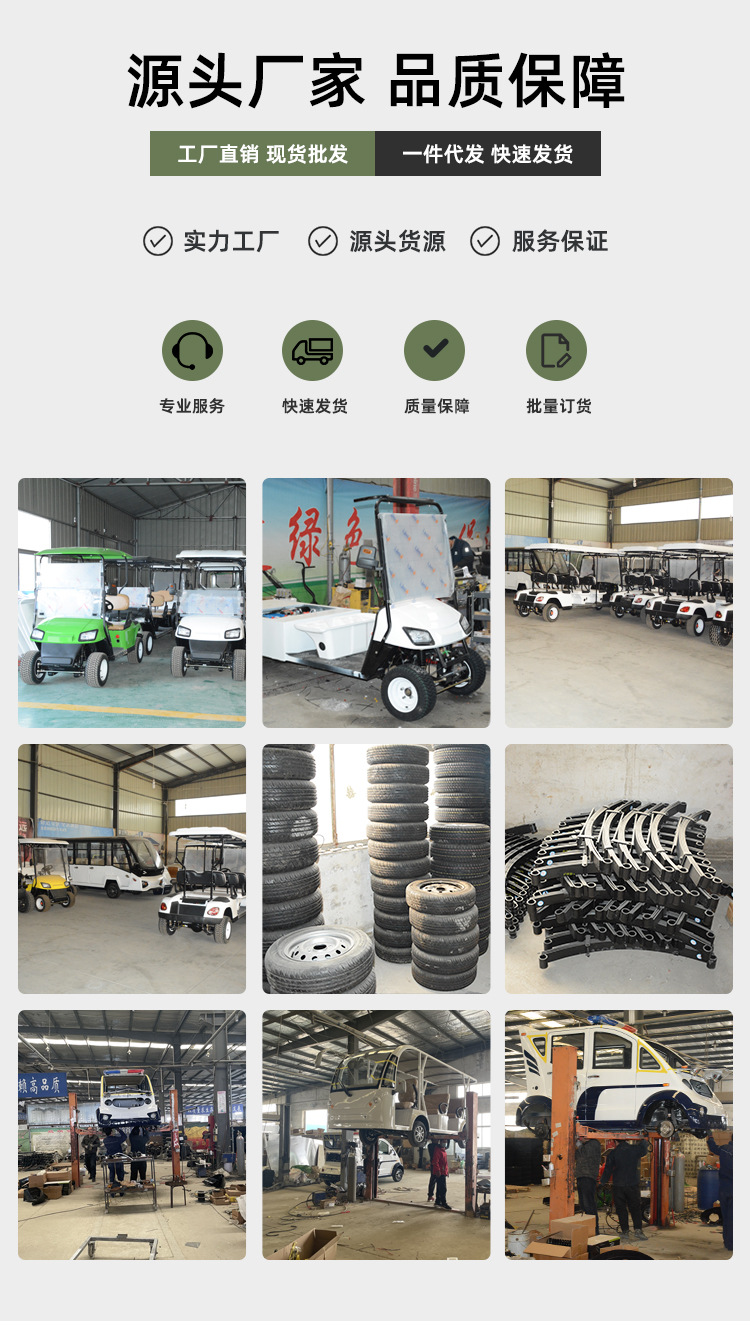 Electric Golf Sightseeing Car, Golf Cart for Tourist Areas, Electric Tour and Sightseeing Shuttle Vehicle for Property Viewings