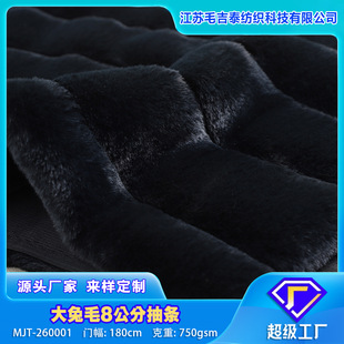 �Q�l����ë8���ֳ�lMJT-260001 �Ҽ��r�b��̺��߽q�����l����