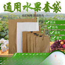 水果套袋枇杷套袋芒果套袋梨套袋桃子套袋柑橘套袋苹果袋柚子柠檬