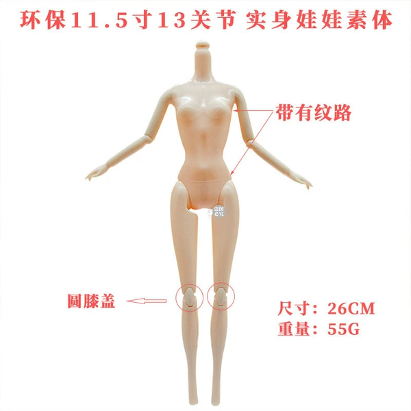 Round knee 13 joint body body