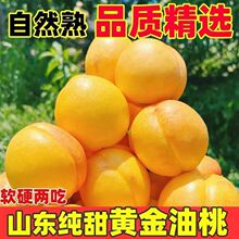 【新品上市】山东蒙阴脆甜黄心桃子黄金油桃新鲜水果当季孕妇季1