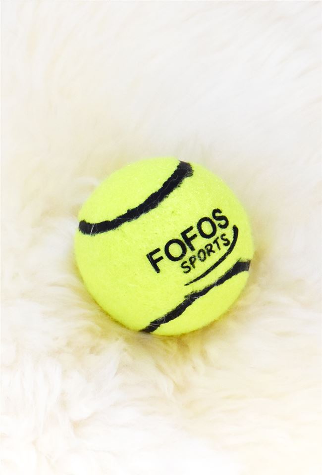 TB1NuPHzuH2gK0jSZJnL6ST1FXa