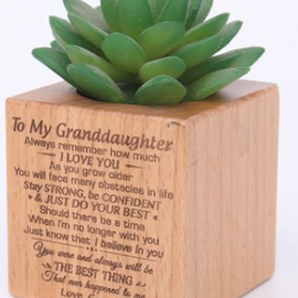 音乐盒;储蓄罐;其他健身器材