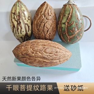 ����ԭ�Ѷ�-��������y·�ʹ���Ƥ�ͽ���ɰ������Ჴ����������