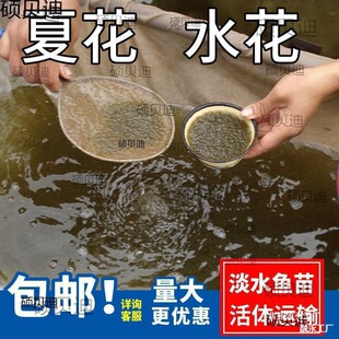 ˮ���~�����l�a�~�~���~���^�����������~���~����~�N���~