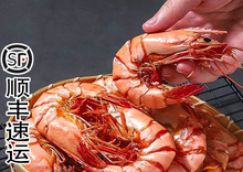 �Ź��r���ش���r�߹����r500g���r�ɼ�ʳ�ЋD��ʳ���r��؛�|ɽ�u