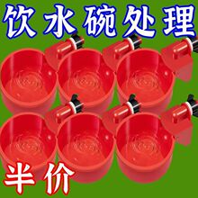 加厚家禽通用养殖喂食鸡鸭鸽子自动饮水碗智能料器跨境专供