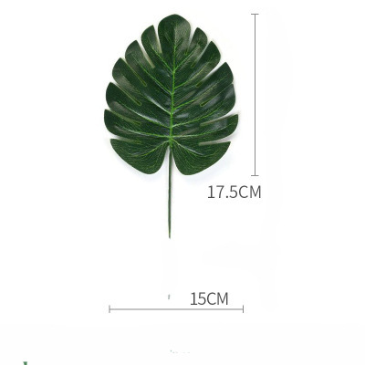 Hoja de Tortuga Verde tamaño pequeño