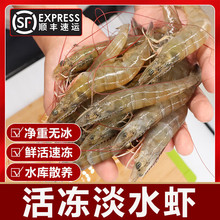 ʮ����B노۵�ˮ�rˮ����r�Ǻ�ˮ�r���ر����r��ˮ�r��ˮ�rζ�