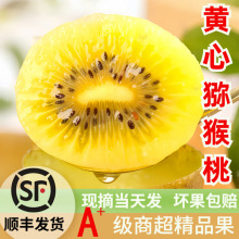 ��S�J�����S���殐��ö������r�����ЋD�I�Bˮ���������Ҵ��