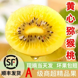 块茎类;芒果;其他水果