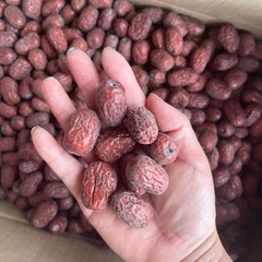 Datu jujube, Xinjiang Ruoxiang jujube, air-dried uncleaned jujube, Xinjiang specialty, bulk jujube, dropshipping