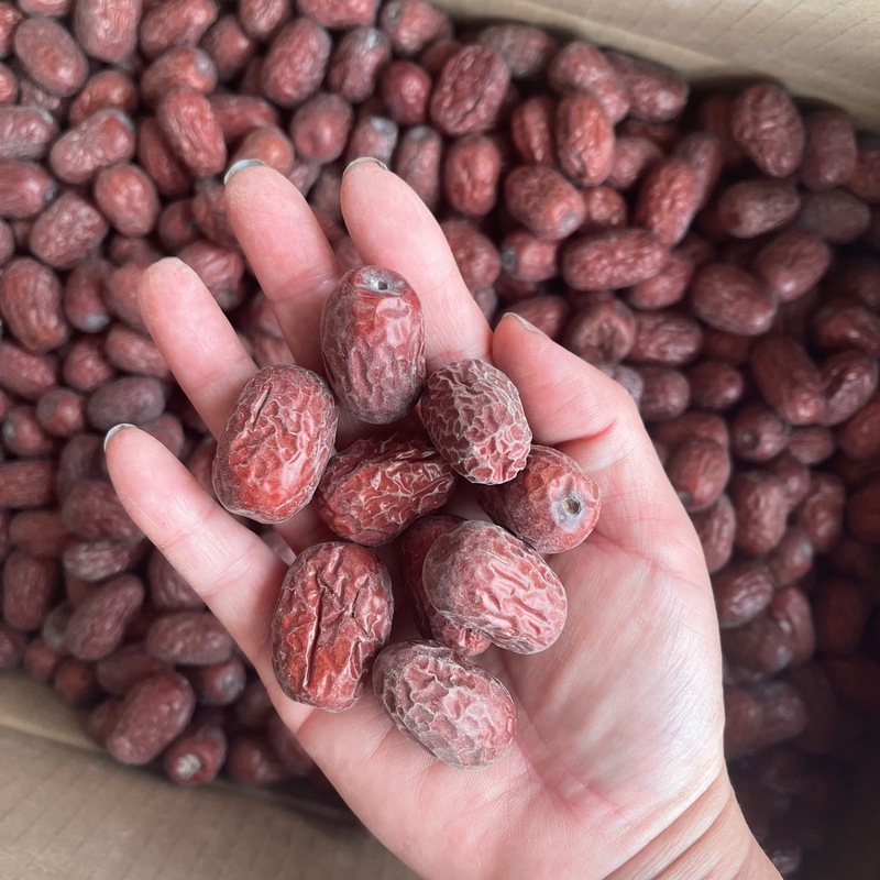 Reprehenderit qui in ea