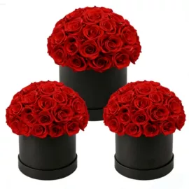 永生花;鲜花花艺制品