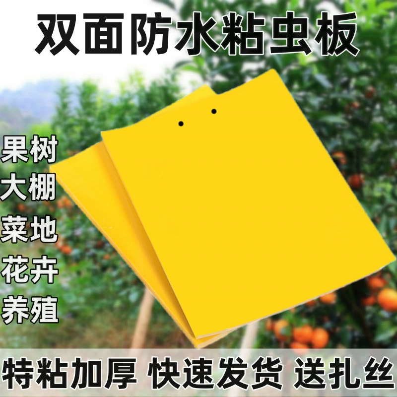 Двусторонняя липкая ловушка для насекомых желтого цвета для цитрусовых, дынь, плодовых мух, ос, мух и тли.