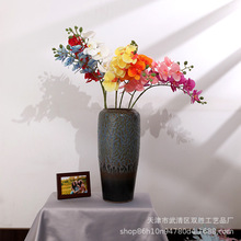 �S�ҷ�������m��c�Y�þӼ��b�����·�����żٻ������bGֲ