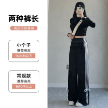 黑色条纹卫裤女春秋2024新款休闲直筒阔腿蝴蝶结绑带小个子运动裤