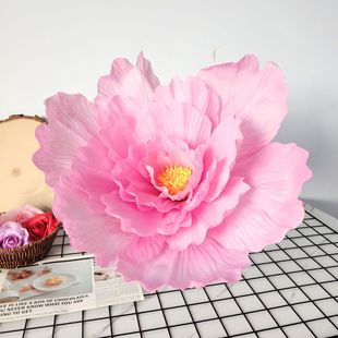 �赸����õ�廨������ͯ��̨�����_�����\�ӕ��ֳֻ������