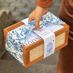2025新中式80g100克125g广式流心鲜肉冰皮月饼礼盒中秋节伴手