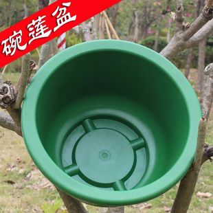 �o��ˮ��ˮ��ֲ�ﻨ���̖С̖���ϻ��� ��ɏ˯ɏ�ɻ��~�X����